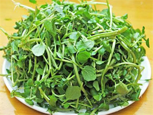 Picture of WATERCRESS