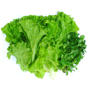 0000286_lettuce.png