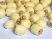 Picture of DRIED LOTUS SEED