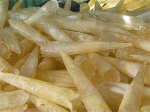 Picture of Dried fish maw