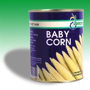 Picture of Baby Corn