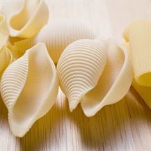 Picture of Shell-Shaped Macaroni