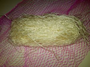 Picture of Green Bean Vermicelli