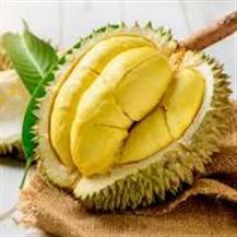 Picture of DURIAN